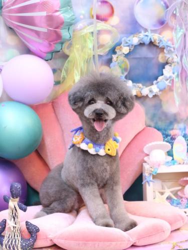 20240812るいくん